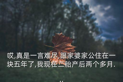 紹興縣怡楚紡織品有限公司,浙江紹興縣小濤紡織品有限公司