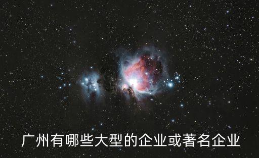  廣州有哪些大型的企業(yè)或著名企業(yè)