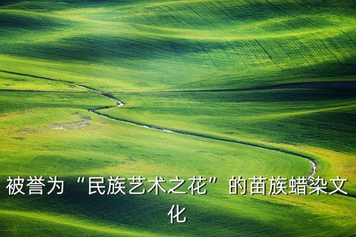 被譽(yù)為“民族藝術(shù)之花”的苗族蠟染文化