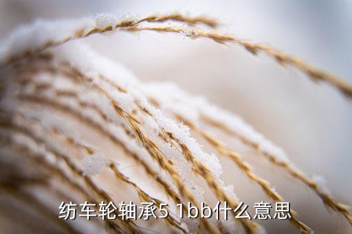 紡車輪軸承5 1bb什么意思