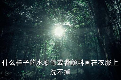 大朗國(guó)彩紡織,大朗紡織世界董事長(zhǎng)
