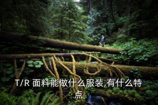 T/R 面料能做什么服裝,有什么特點(diǎn)