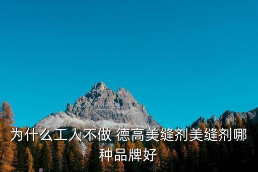 為什么工人不做 德高美縫劑美縫劑哪種品牌好