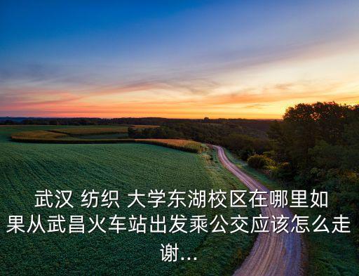  武漢 紡織 大學(xué)東湖校區(qū)在哪里如果從武昌火車(chē)站出發(fā)乘公交應(yīng)該怎么走謝...