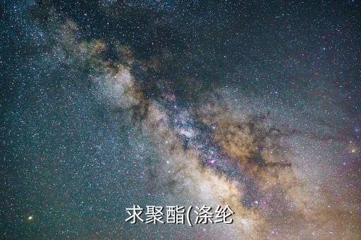 求聚酯(滌綸