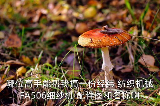 哪位高手能幫我搞一份經(jīng)緯 紡織機(jī)械FA506細(xì)紗機(jī) 配件圖和名稱啊