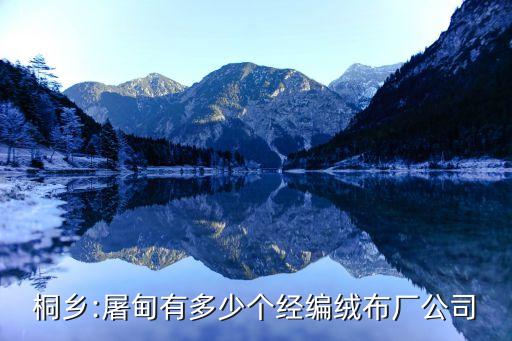 桐鄉(xiāng):屠甸有多少個經(jīng)編絨布廠公司