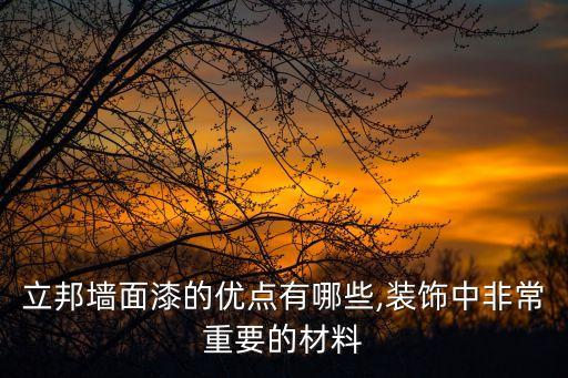 立邦墻面漆的優(yōu)點有哪些,裝飾中非常重要的材料