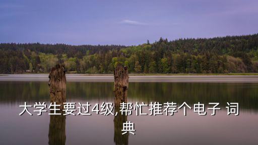 大學生要過4級,幫忙推薦個電子 詞典