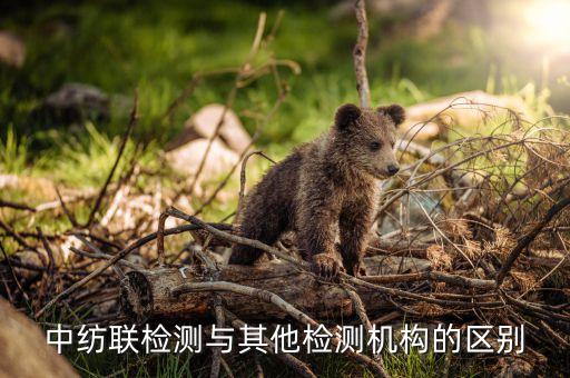 中國紡織品協(xié)會