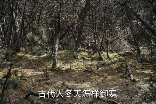 古代人冬天怎樣御寒