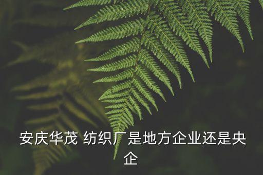  安慶華茂 紡織廠是地方企業(yè)還是央企