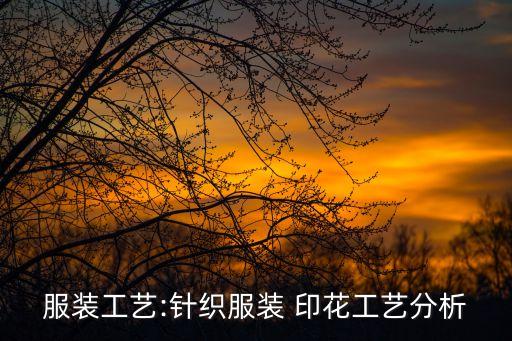 服裝工藝:針織服裝 印花工藝分析