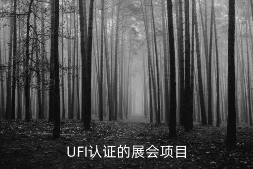UFI認證的展會項目