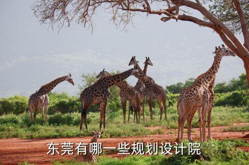東莞有哪一些規(guī)劃設計院