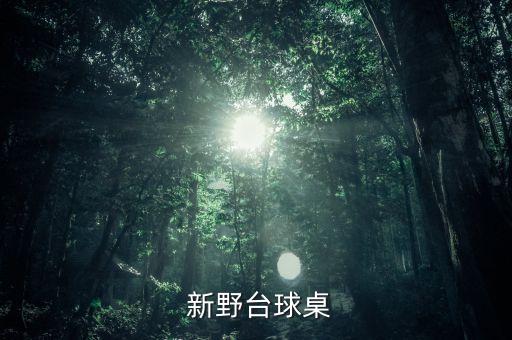  新野臺(tái)球桌