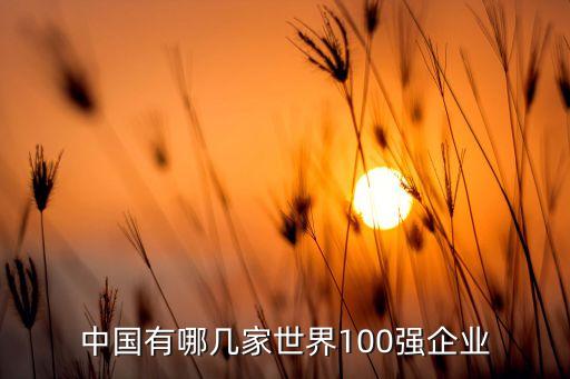 中國(guó)有哪幾家世界100強(qiáng)企業(yè)
