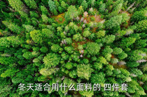 冬天適合用什么面料的 四件套