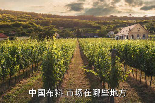 中國布料 市場在哪些地方