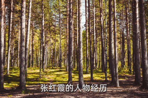 張紅霞的人物經(jīng)歷