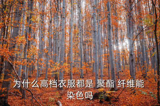 聚酯纖維面料染色