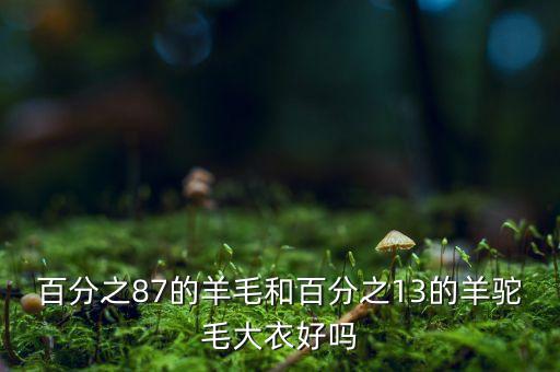 百分之87的羊毛和百分之13的羊駝毛大衣好嗎