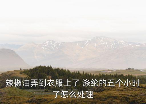 辣椒油弄到衣服上了 滌綸的五個(gè)小時(shí)了怎么處理