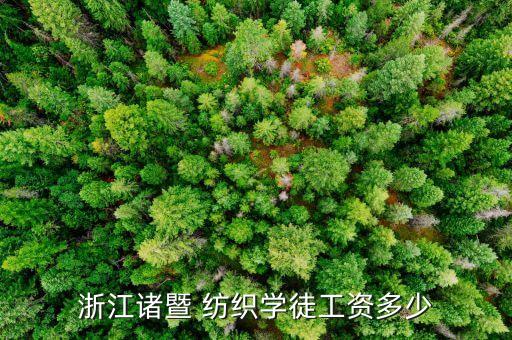 浙江諸暨 紡織學(xué)徒工資多少