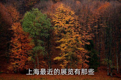 上海最近的展覽有那些