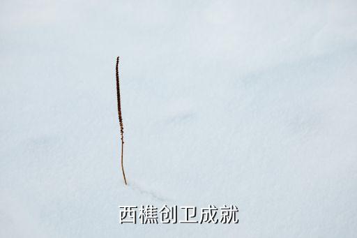佛山市南海區(qū)西樵新之派紡織布行