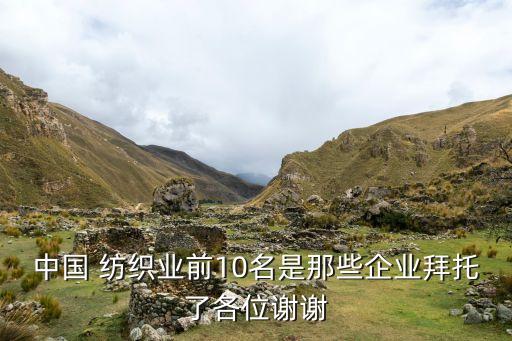 中國(guó) 紡織業(yè)前10名是那些企業(yè)拜托了各位謝謝