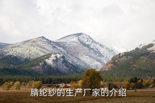  腈綸紗的生產(chǎn)廠家的介紹