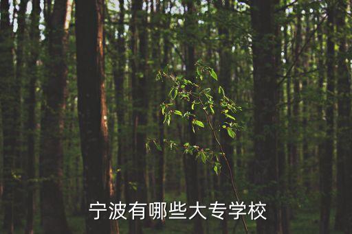 寧波紡織服裝學院電腦,寧波統(tǒng)富紡織服裝科技