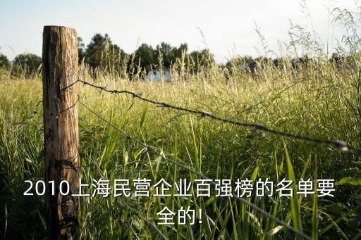 2010上海民營企業(yè)百強榜的名單要全的!