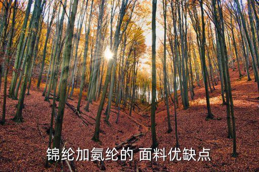 錦綸加氨綸的 面料優(yōu)缺點(diǎn)
