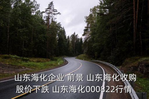  山東?；髽I(yè) 前景 山東?；召徆蓛r(jià)下跌 山東?；?00822行情