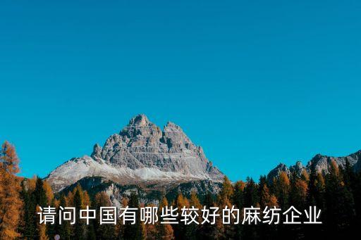 請問中國有哪些較好的麻紡企業(yè)