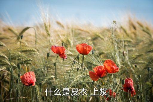 什么是皮衣 上漿
