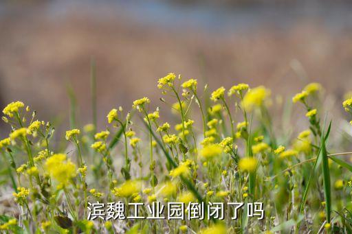 濱魏工業(yè)園倒閉了嗎