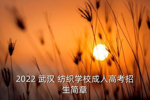 武漢紡織大學(xué) 學(xué)者