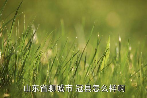 山東冠縣冠星紡織有限責(zé)任公司,冠縣鑫昌紡織有限責(zé)任公司