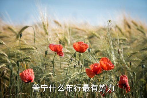 普寧什么布行最有勢(shì)力