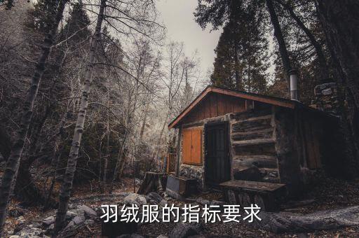  羽絨服的指標(biāo)要求