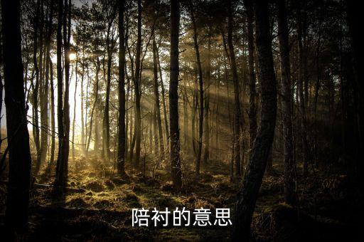 陪襯的意思