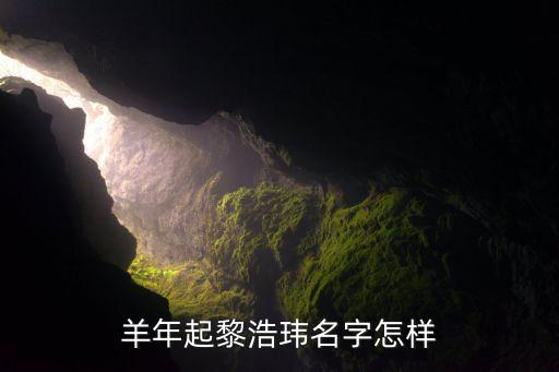羊年起黎浩瑋名字怎樣