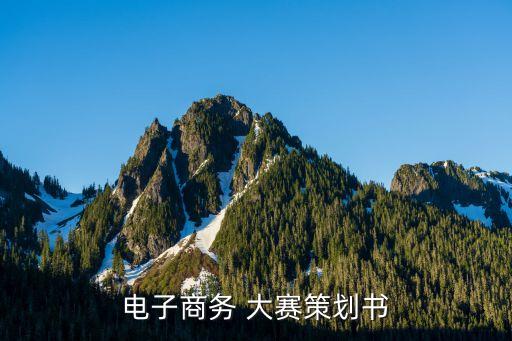 電子商務(wù) 大賽策劃書