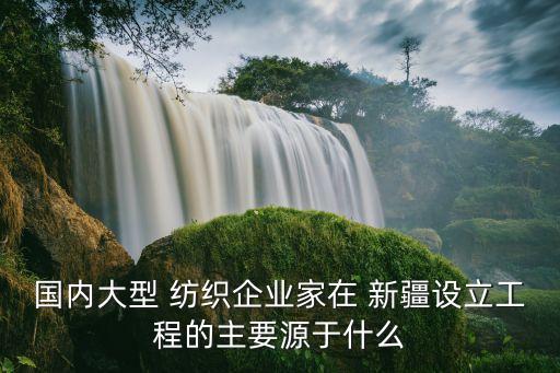 國(guó)內(nèi)大型 紡織企業(yè)家在 新疆設(shè)立工程的主要源于什么
