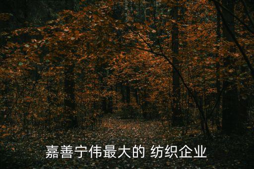 嘉善寧偉最大的 紡織企業(yè)