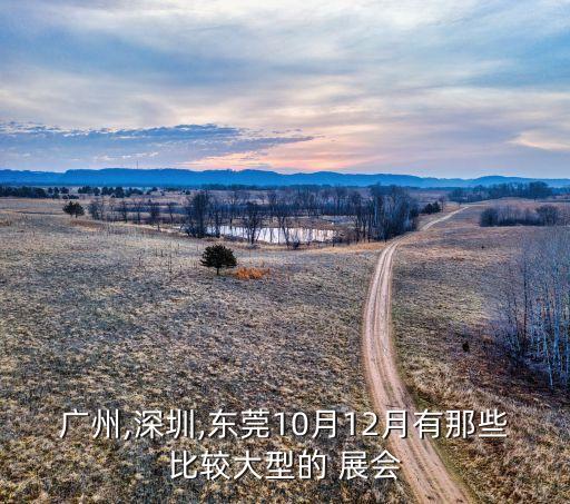 廣州,深圳,東莞10月12月有那些比較大型的 展會(huì)