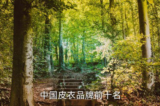 中國皮衣品牌前十名